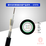 光纤束铠装光缆GYXTS