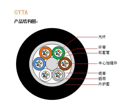 GYTA结构.jpg